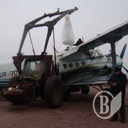 Погодні капризи озимі пережили без особливих втрат
