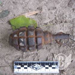 ͳ���: ������� �� ������? (����)