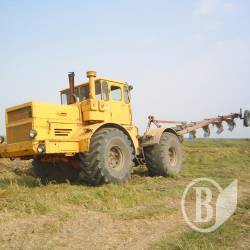 Здавати жито і пшеницю буде вигідніше Здавати жито і пшеницю буде вигідніше