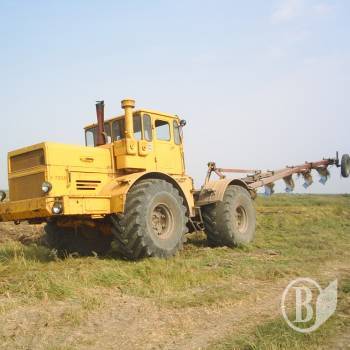 Здавати жито і пшеницю буде вигідніше
