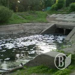 Стрижень планомірно вбивають! Стрижень планомірно вбивають!