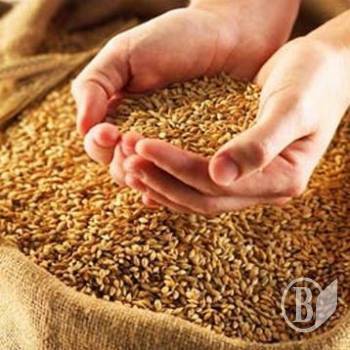 Ячмінь ІІІ-го класу треба брати чернігівський, бо тут - найдешевше Ячмінь ІІІ-го класу треба брати чернігівський, бо тут - найдешевше