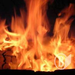 Червоний півень любить неуважних... Червоний півень любить неуважних...