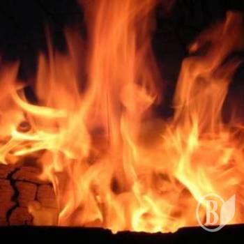Червоний півень любить неуважних... Червоний півень любить неуважних...