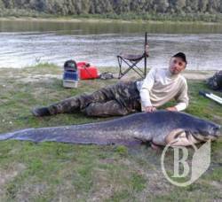 Царя-сома спіймали на Десні ! (фоторепортаж) Царя-сома спіймали на Десні ! (фоторепортаж)
