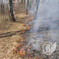 Національне лихо на Чернігівщині (фото) Національне лихо на Чернігівщині (фото)