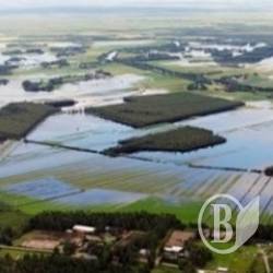 Вода заважає сіяти (фото) Вода заважає сіяти (фото)