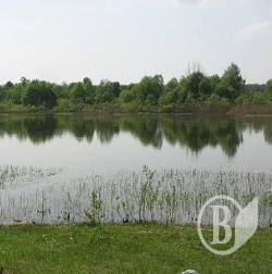 На озерах вчили бізнесу (фото) На озерах вчили бізнесу (фото)