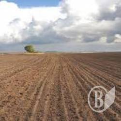 Аграрії завершать посів до Великодня Аграрії завершать посів до Великодня