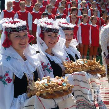 �������� ��� ���������� ������. �����