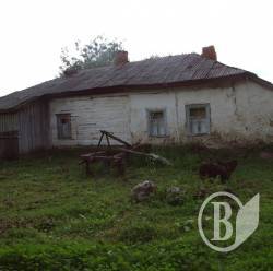 «Хронічні» проблеми села вирішить розвиток туризму та народних промислів (фото) «Хронічні» проблеми села вирішить розвиток туризму та народних промислів (фото)