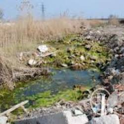 Громадяни впевнено знищують екологію області (фото) Громадяни впевнено знищують екологію області (фото)