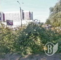 Чернігівці протестують проти забудови Чернігівці протестують проти забудови