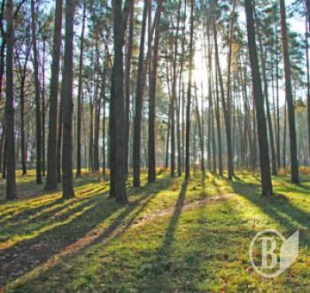 Громадська рада просить мера Чернігова не вошкатися з «Ялівщиною» Громадська рада просить мера Чернігова не вошкатися з «Ялівщиною»
