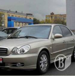 Осіння соната: Бабуся-водій на авто Осіння соната: Бабуся-водій на авто