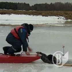 Трагедія біля Гришівки Трагедія біля Гришівки