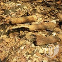 Таємниці військового селища Таємниці військового селища
