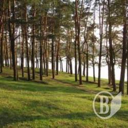 Ялівщина – омріяні гектари слави Ялівщина – омріяні гектари слави