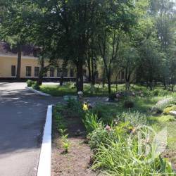 «Зелений гай» оздоровить 480 дітлахів «Зелений гай» оздоровить 480 дітлахів