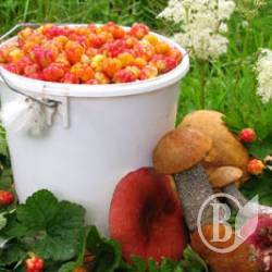 Куля в ногу – удар Яценюка прийняв місцевий грибник