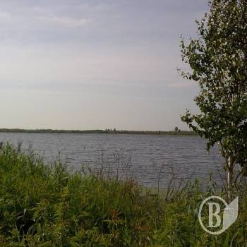 Потопельник із Калинівки Потопельник із Калинівки