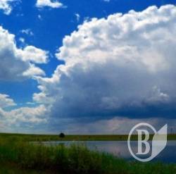 Тіло у ставку біля Дідівців Тіло у ставку біля Дідівців