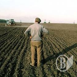 Проблеми аграріїв очима начальства Проблеми аграріїв очима начальства