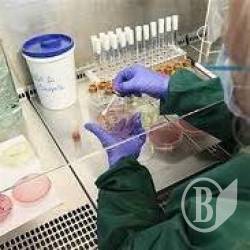 У бомбосховищі сіверянки знайшли небезпечну хімію У бомбосховищі сіверянки знайшли небезпечну хімію