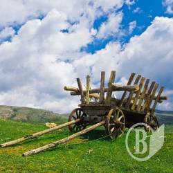 Словесні баталії Громадської ради – віз і нині там?
