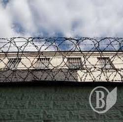 Канабіс оптом – наркоторговців посадили з конфіскацією майна