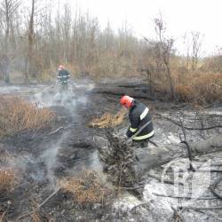 Торф горить, а люди наступають на ті ж граблі… Торф горить, а люди наступають на ті ж граблі…