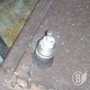 «Жучки» погубили 81-річного чоловіка «Жучки» погубили 81-річного чоловіка