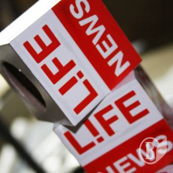  LifeNews      
