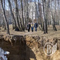 Березовий гай облаштують Березовий гай облаштують