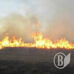 36 пожеж трапилось на вихідних
