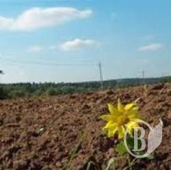 Районні посадовці віддали землю у безоплатне користування Районні посадовці віддали землю у безоплатне користування