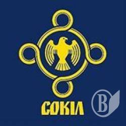 Юні чернігівські свободівці вчилися партизанській майстерності на горі Маківка