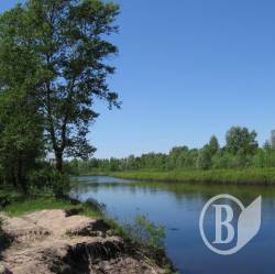 За добу на водоймах Чернігівщини знайшли тіла 2-х людей