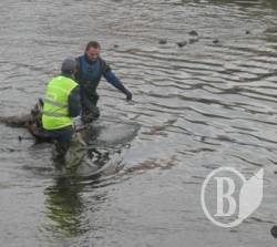  Прикордонники  врятували на  Дніпрі  9-річного хлопчика