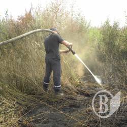 За добу ліквідували 5 пожеж від необережного поводження з вогнем За добу ліквідували 5 пожеж від необережного поводження з вогнем