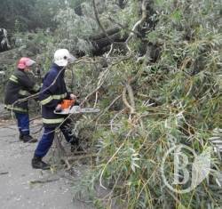 Поки дерево не впаде, ми не... Поки дерево не впаде, ми не...