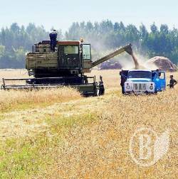 Аграрії Чернігівщини зберуться. На вибори готуватися? Аграрії Чернігівщини зберуться. На вибори готуватися?