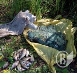 На кордоні затримали браконьєрів На кордоні затримали браконьєрів