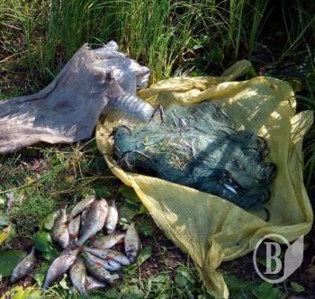 На кордоні затримали браконьєрів На кордоні затримали браконьєрів