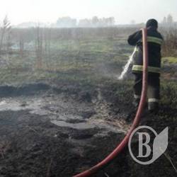 Торфовища, ліси та поля горять майже по всій Україні Торфовища, ліси та поля горять майже по всій Україні