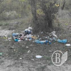 На берегах Снову туристи лишають після себе гори сміття і порубані дерева На берегах Снову туристи лишають після себе гори сміття і порубані дерева