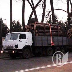 На Чернігівщині зупинили перевезення нелегального лісу 