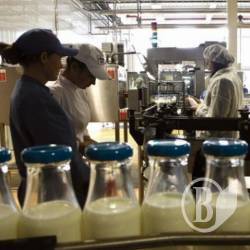 Україна розпочала експорт молочної продукції до Китаю Україна розпочала експорт молочної продукції до Китаю