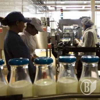 Україна розпочала експорт молочної продукції до Китаю Україна розпочала експорт молочної продукції до Китаю