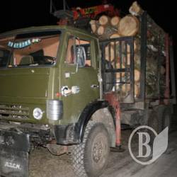 Поліція затримала два «КамАЗи» з лісом. Фото Поліція затримала два «КамАЗи» з лісом. Фото